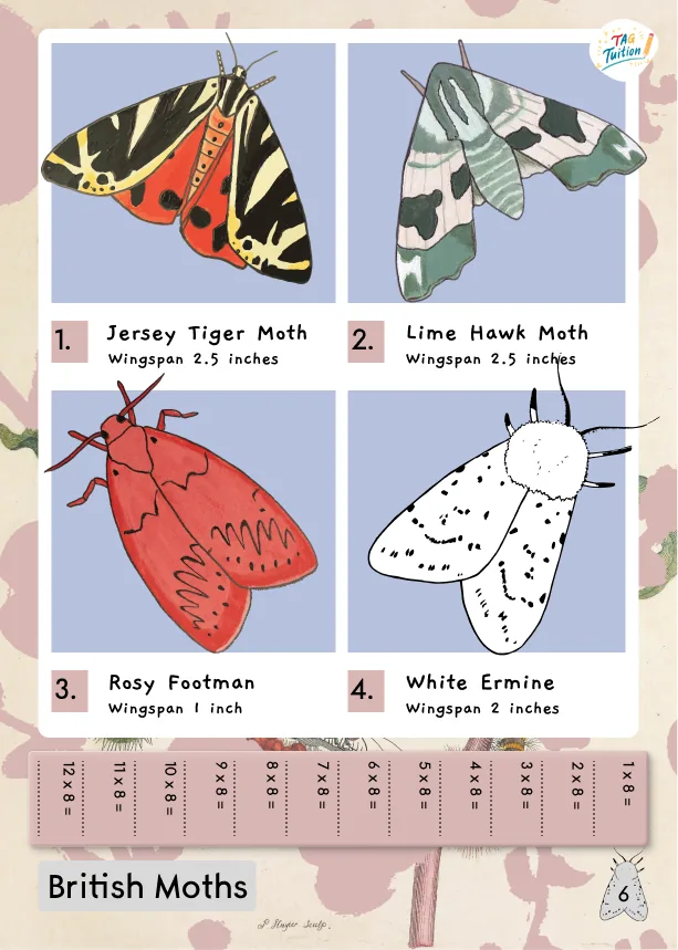 British Moths workbook cover.