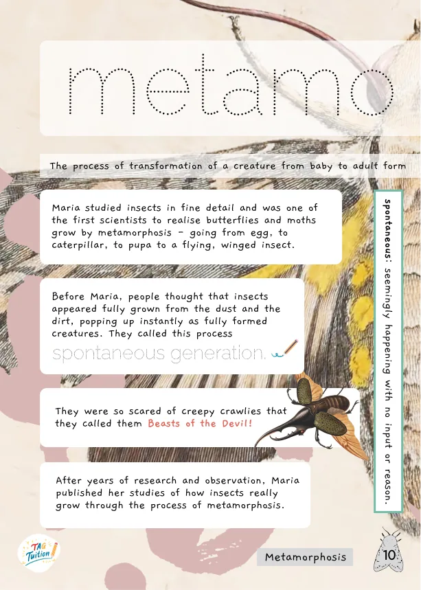 Metamorphosis workbook spread introducing Maria Sibylla Merian.
